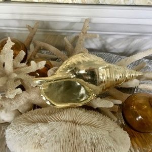 Resin Gold Faux Seashell Shell Home Decor Accent
